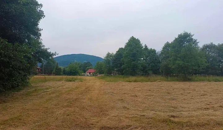 Działka budowlana Buczkowice