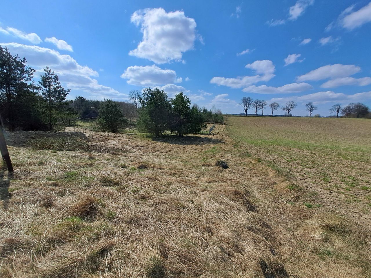 Działka rekreacyjna Dąbrówno, Wzgórze Letniskowe Dąbrowa. Zdjęcie 11