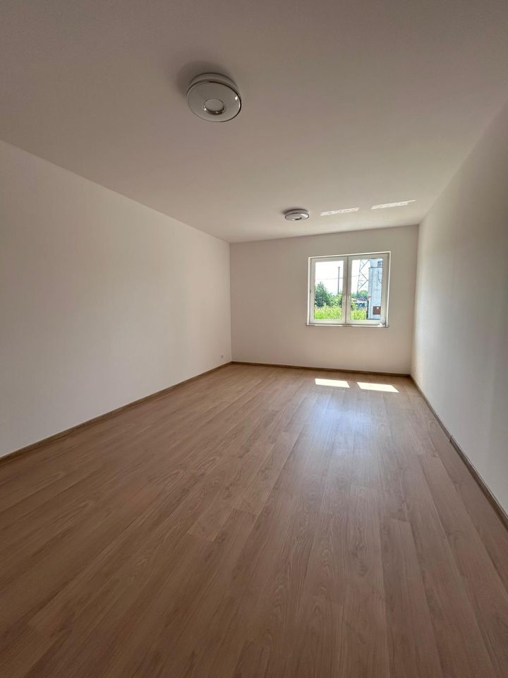 Biuro Zieleniec. Zdjęcie 8