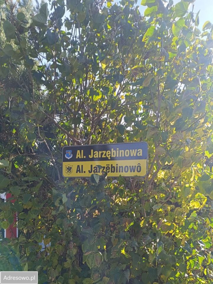 Działka budowlana Błądzikowo, ul. Aleja Jarzębinowa. Zdjęcie 2