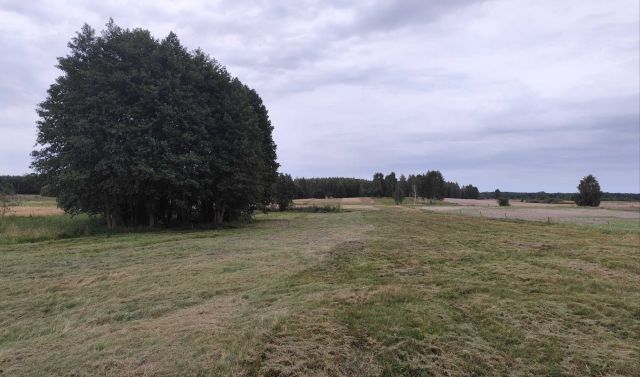 Działka rolna Macoszyn Mały. Zdjęcie 1