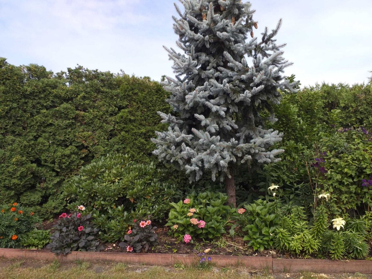 Działka rod Prądocin. Zdjęcie 2