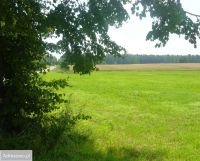 Działka budowlana Studzianki. Zdjęcie 2