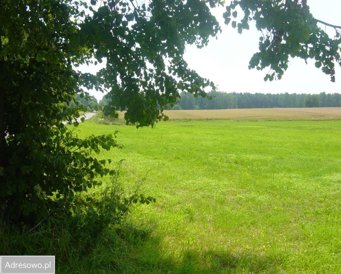 Działka budowlana Studzianki. Zdjęcie 3