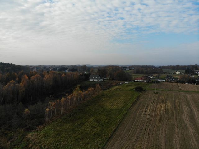 Działka rolno-budowlana Jastrzębie-Zdrój Ruptawa, ul. Matejki. Zdjęcie 1