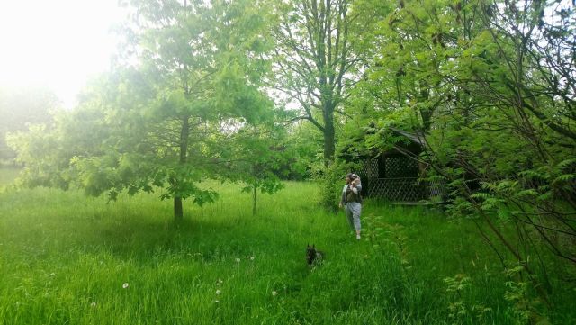 Działka rekreacyjna Glinik Górny Poddział. Zdjęcie 4