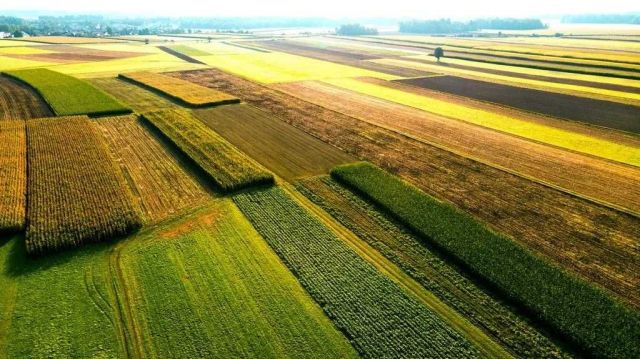 Działka rolna Guty Duże. Zdjęcie 1