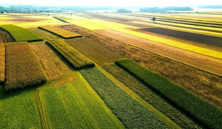 Działka rolna Guty Duże