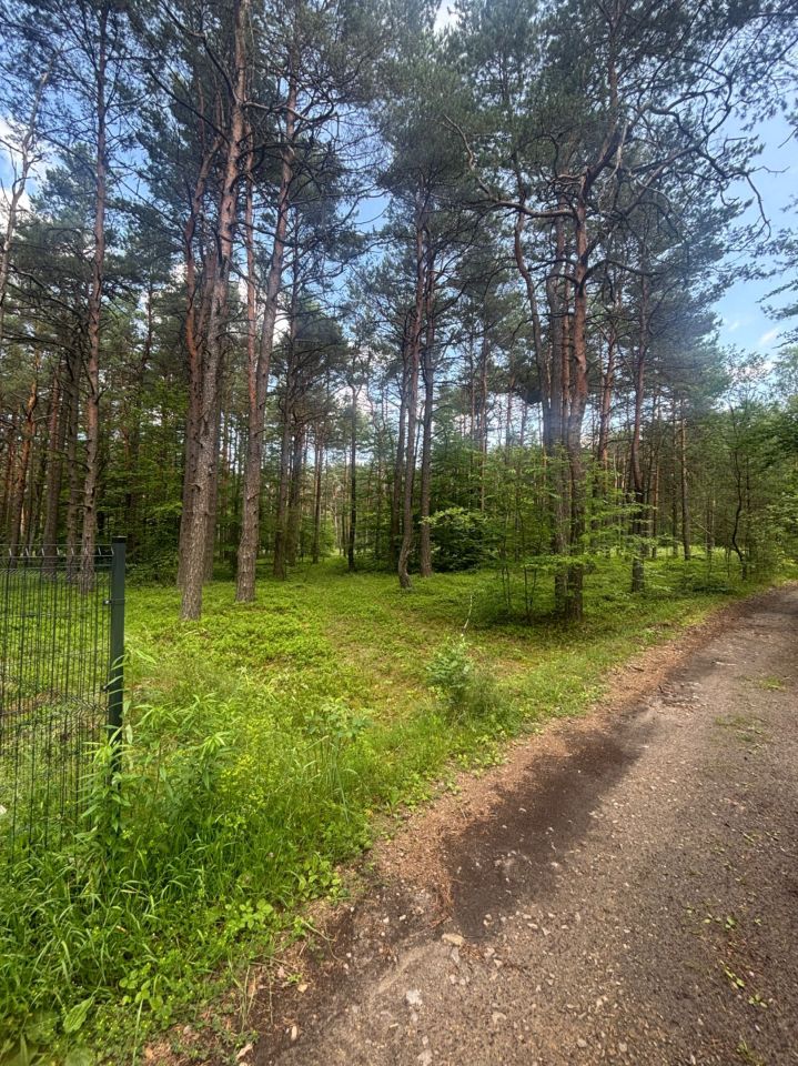 Działka budowlana Ogrodzieniec. Zdjęcie 7