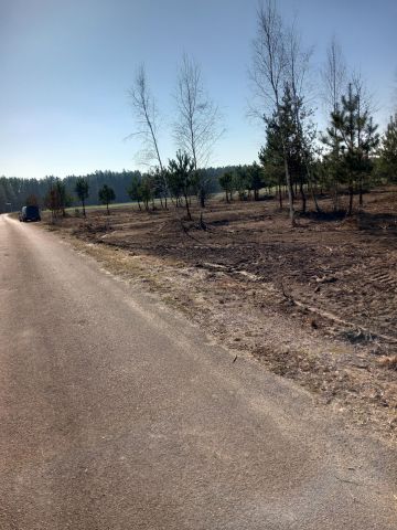 Działka rolna Gucin. Zdjęcie 1