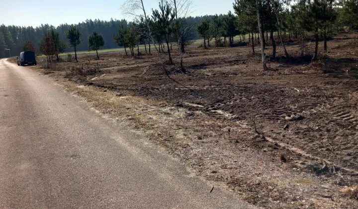Działka rolna Gucin
