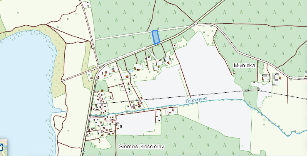 Działka leśna Młyniska. Zdjęcie 2