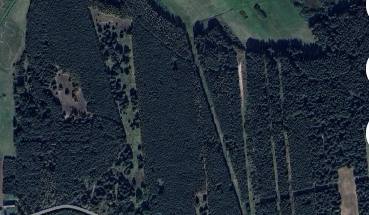 Działka leśna Borowiec