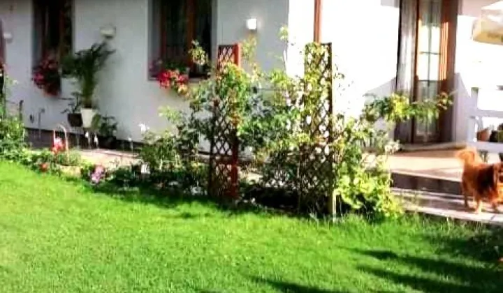 dom wolnostojący, 6 pokoi Warszawa Wawer