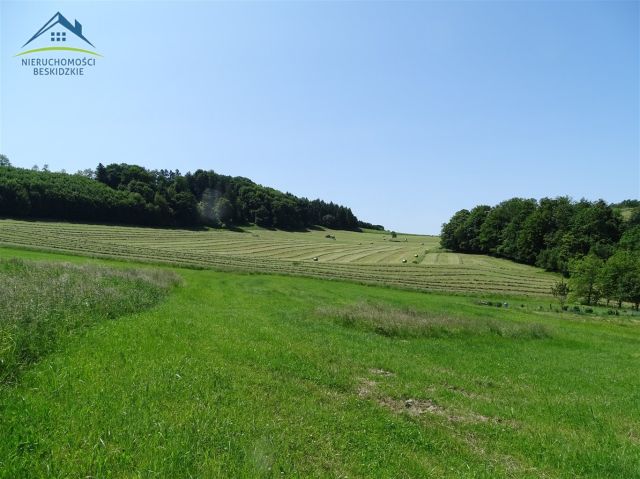 Działka rolno-budowlana Cisownica. Zdjęcie 2