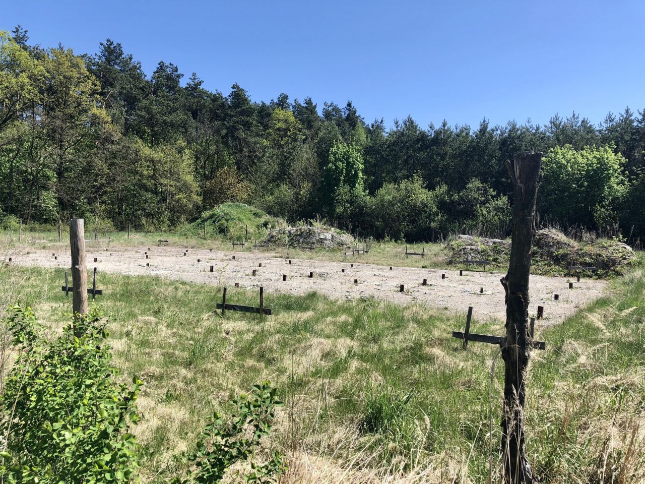 Działka rolna Ulów. Zdjęcie 3