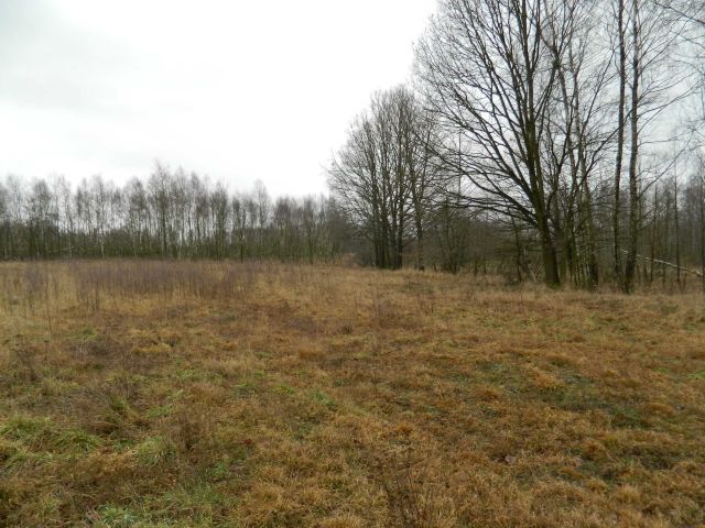 Działka budowlana Brzeziny Nowe, ul. Nowa. Zdjęcie 1