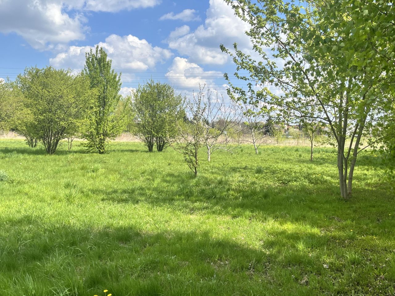 Działka inwestycyjna Łuków, ul. Aleksandra Świętochowskiego. Zdjęcie 3