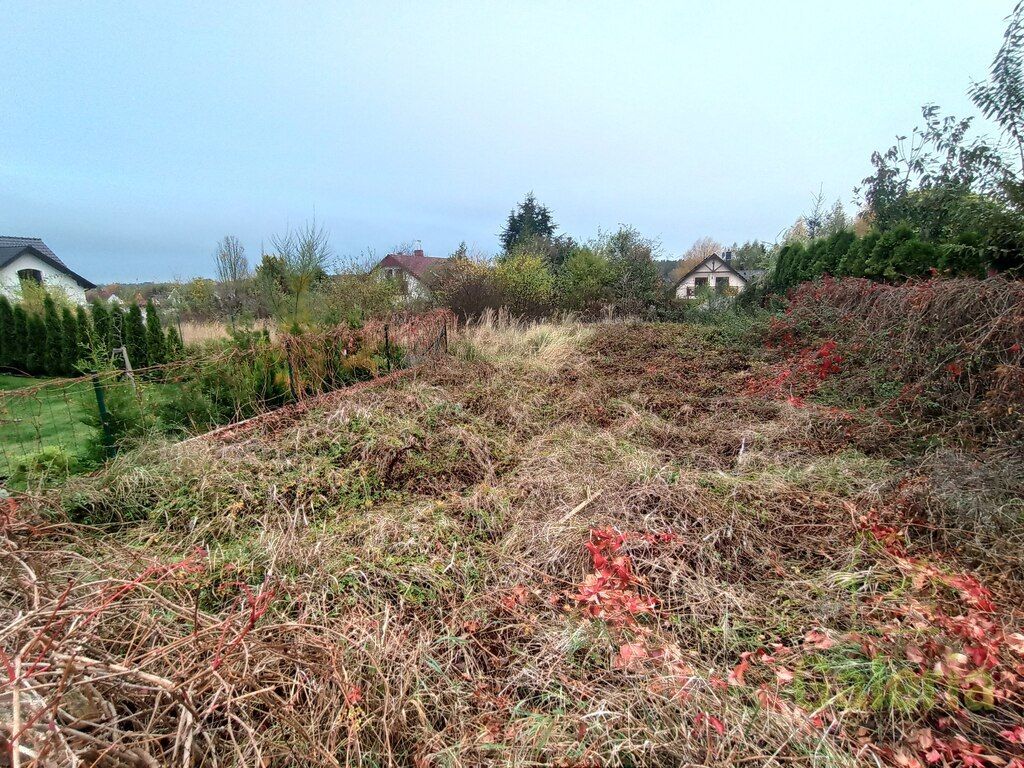 Działka budowlana Dołuje. Zdjęcie 2