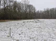 Działka rolno-budowlana Bobrek, ul. Leśna. Zdjęcie 4