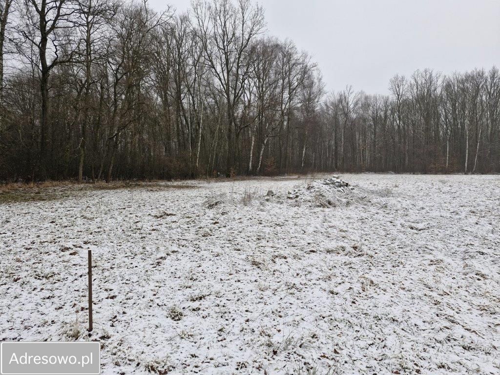 Działka rolno-budowlana Bobrek, ul. Leśna. Zdjęcie 5