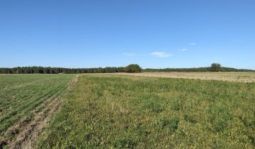 Działka rolna Eliaszówka