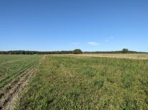 Działka rolna Eliaszówka