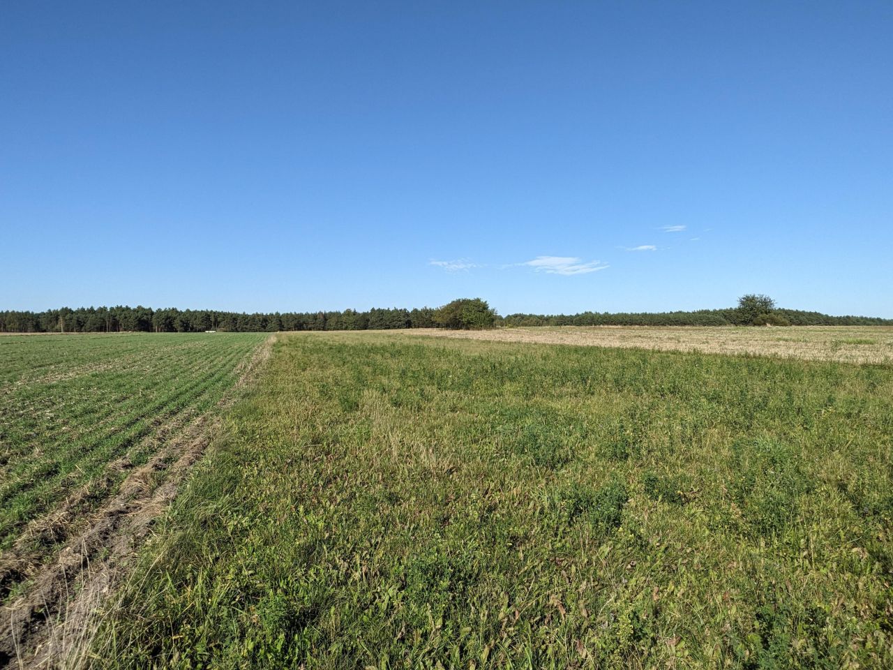 Działka rolna Eliaszówka