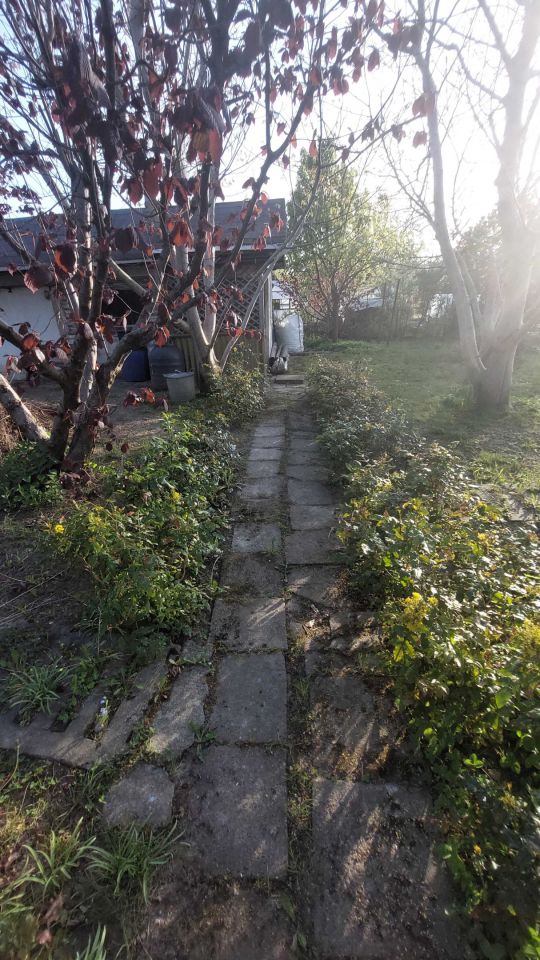 Działka rod Koszalin. Zdjęcie 6