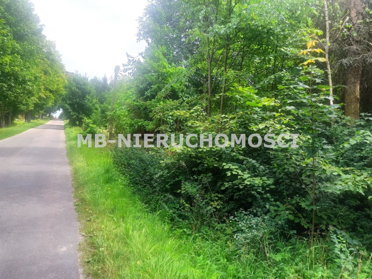 Działka rolna Ramsowo. Zdjęcie 9