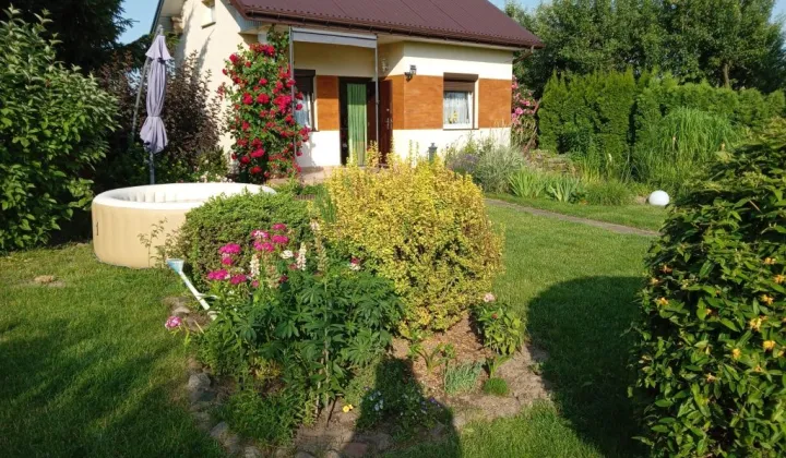Działka rod Wieniec-Zalesie