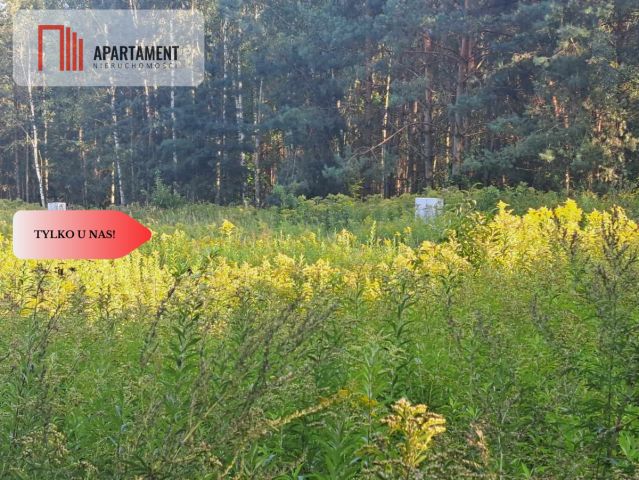 Działka budowlana Miękinia, ul. Leśna. Zdjęcie 14