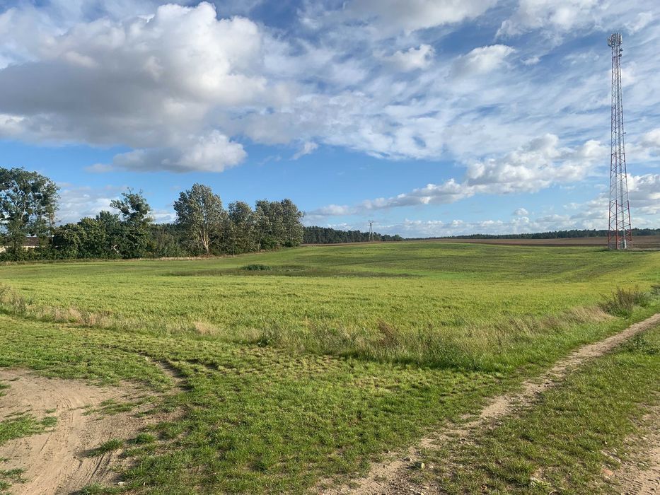 Działka rolno-budowlana Turze. Zdjęcie 2