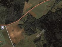 Działka leśna Mąkolno. Zdjęcie 1