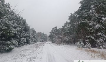 Działka budowlana Warszawa Wawer, ul. Krokusów