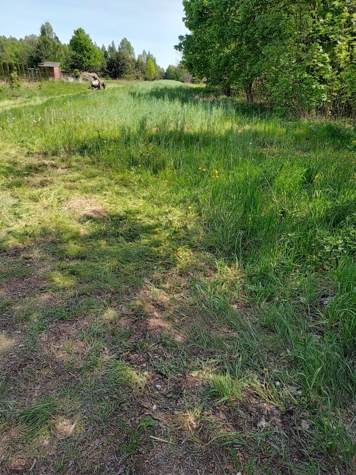 Działka budowlana Dąbrowa. Zdjęcie 3