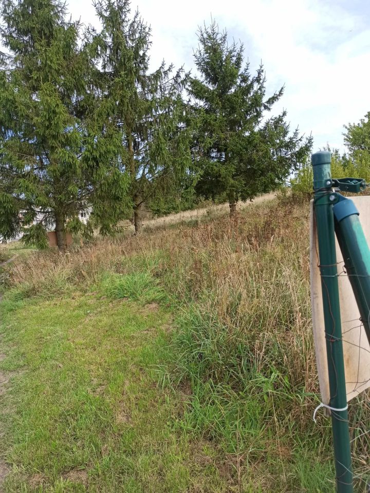 Działka rolno-budowlana Skotniki. Zdjęcie 5