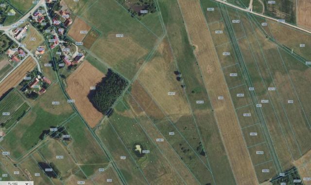 Działka rolna Siedliska. Zdjęcie 2