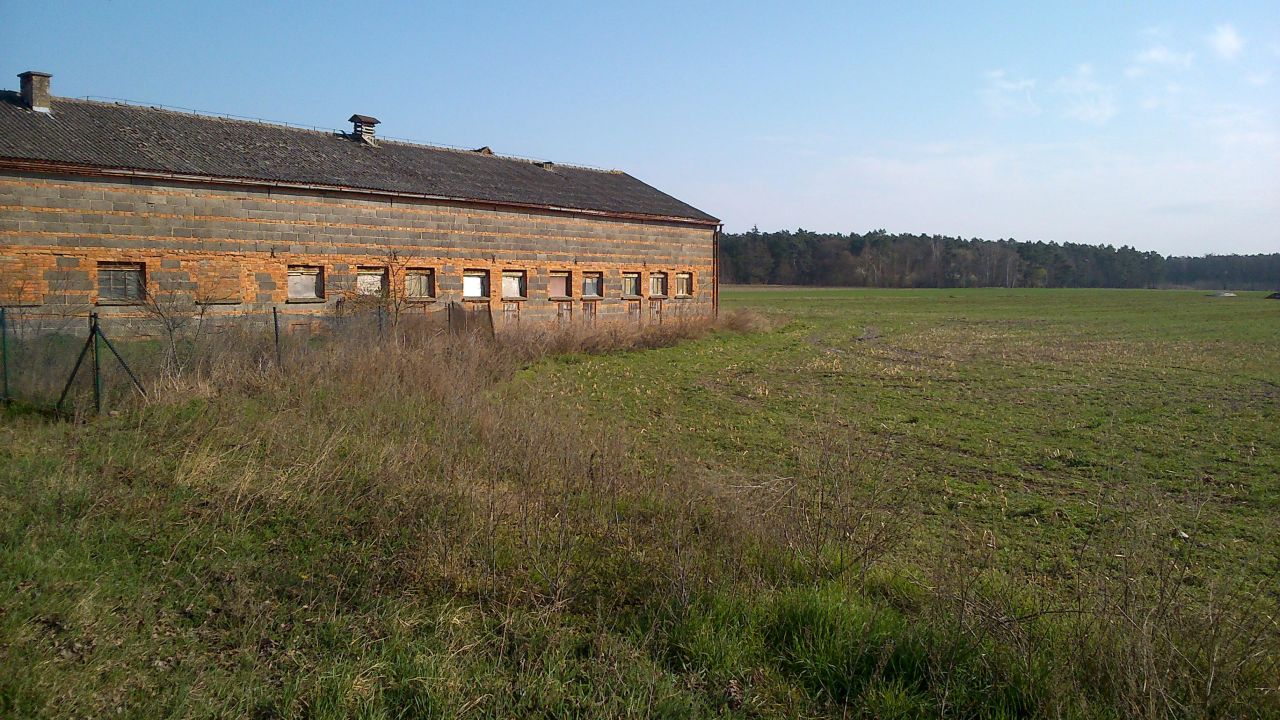 Działka budowlana Skoraszewice. Zdjęcie 3