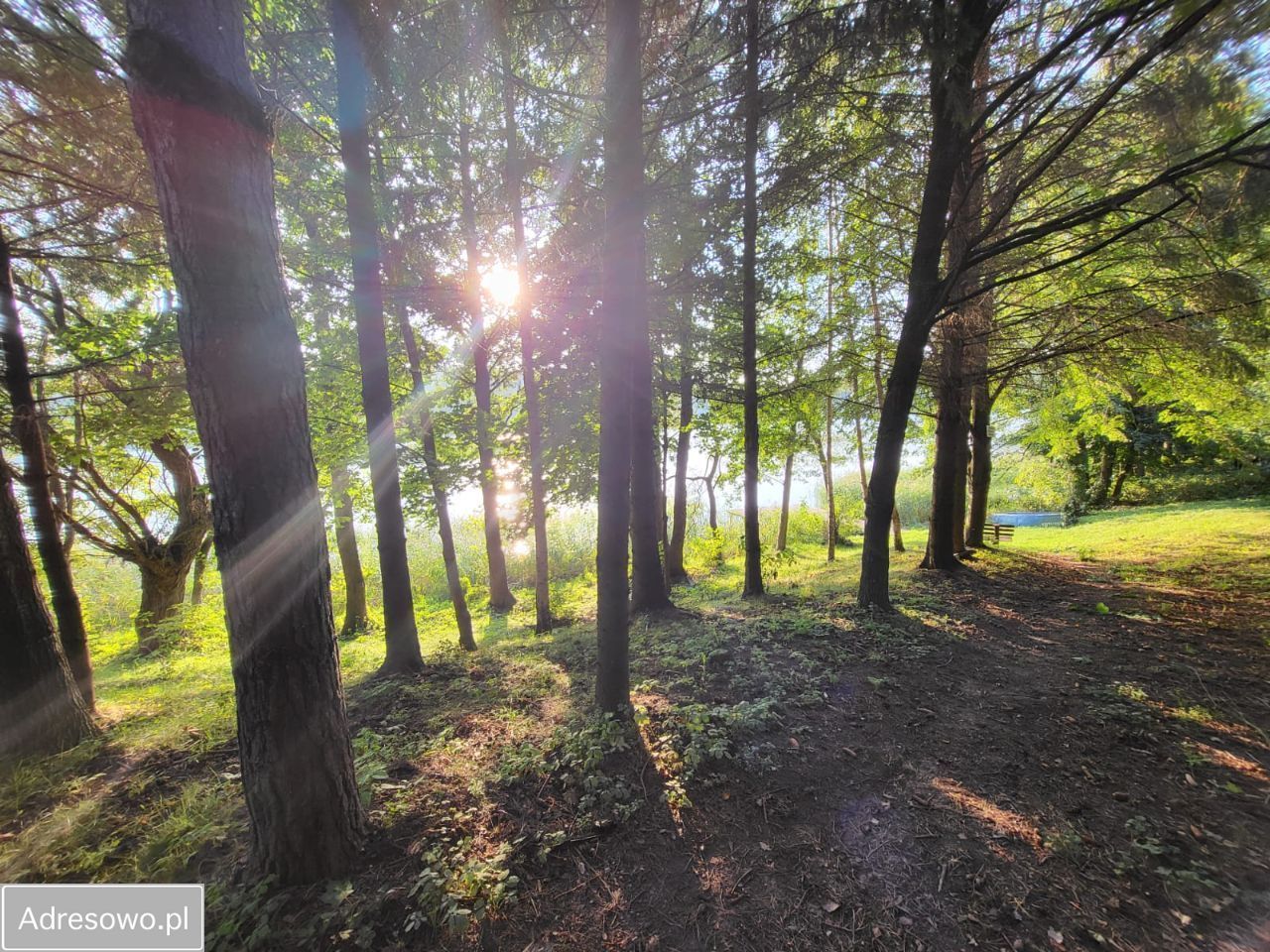 Działka budowlana Kiersztanowo. Zdjęcie 7