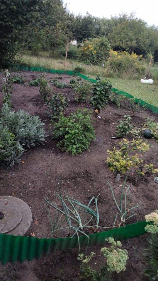 Działka rod Wrocław Fabryczna, ul. Klecińska. Zdjęcie 6