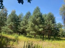 Działka budowlana Warszawa Aleksandrów. Zdjęcie 2