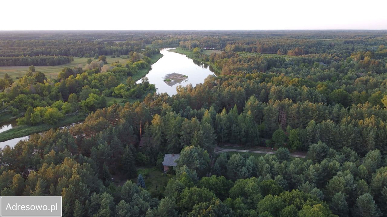 Działka rekreacyjna Ostrykół Dworski, ul. Sosnowa. Zdjęcie 3