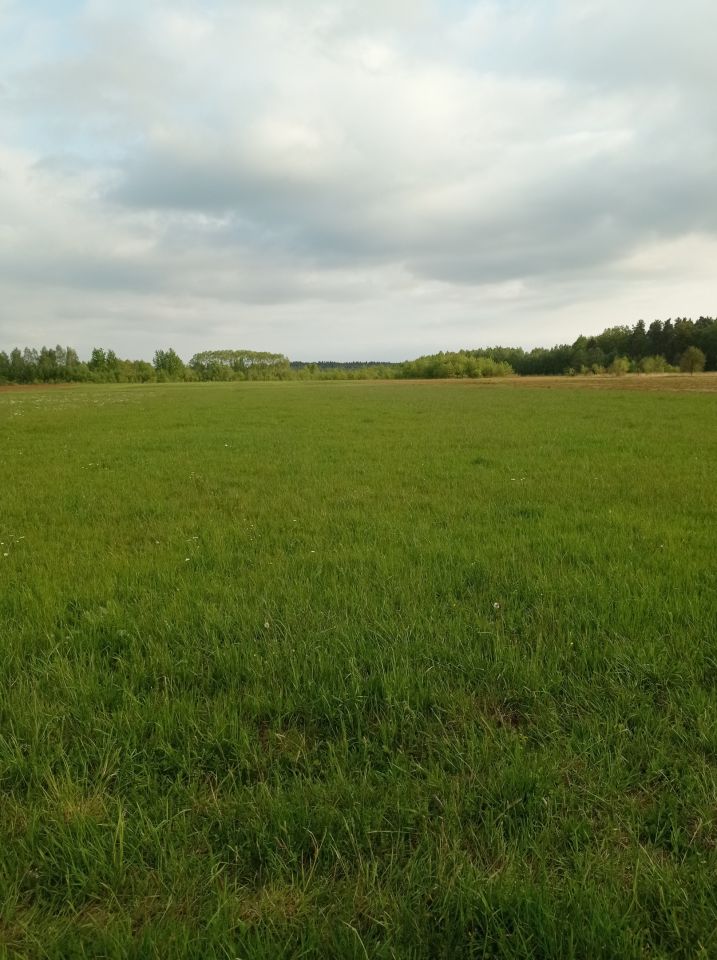 Działka rolna Sarzyna Poręba. Zdjęcie 3