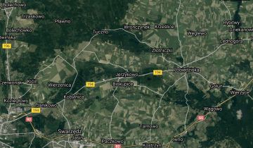 Działka leśna Jerzykowo. Zdjęcie 1
