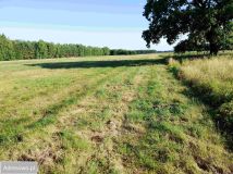 Działka rolna Nowa Obra. Zdjęcie 3