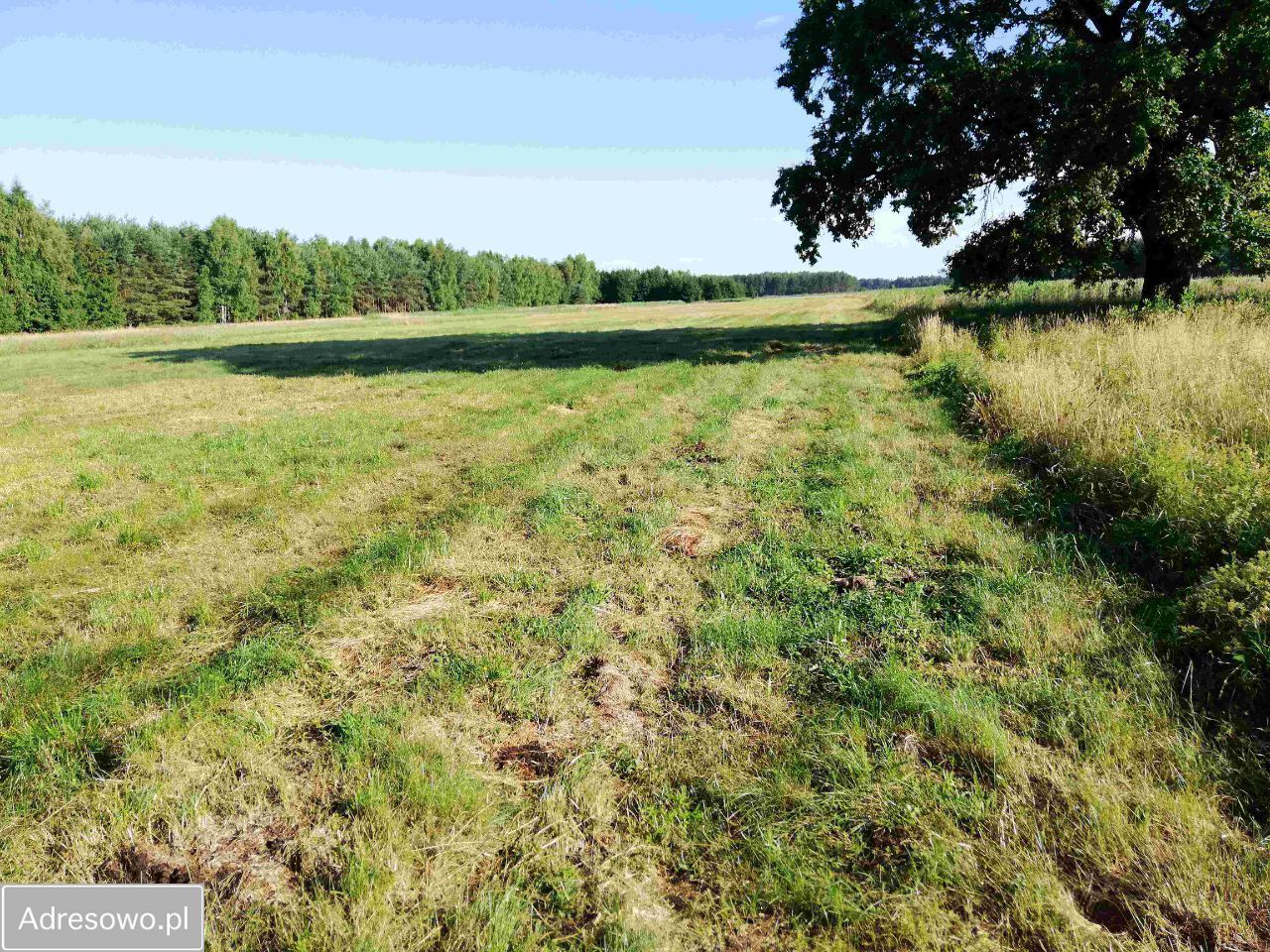 Działka rolna Nowa Obra. Zdjęcie 4