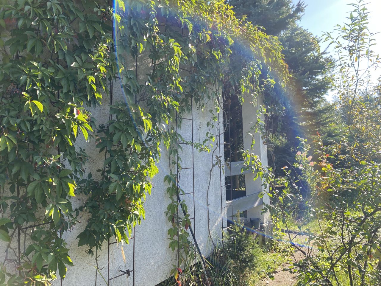 Działka rod Łódź Bałuty, ul. Hodowlana. Zdjęcie 20