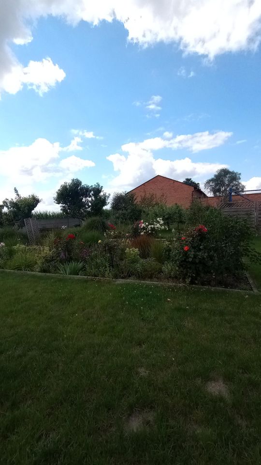 Hala/magazyn Michałów. Zdjęcie 2