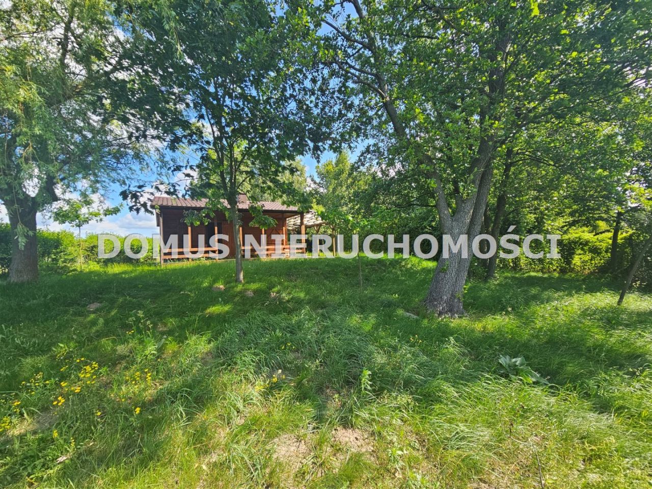 Działka rolna Królewo. Zdjęcie 7